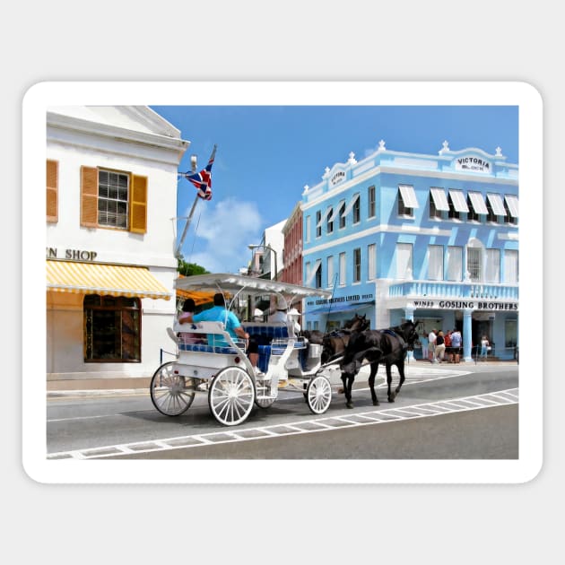 Hamilton Bermuda - Carriage Ride Sticker by SusanSavad